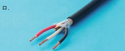 46_2.jpg/image-size:432×177